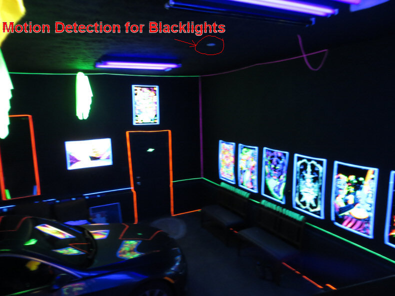 Motion Detection Blacklight Bulbs in Garage